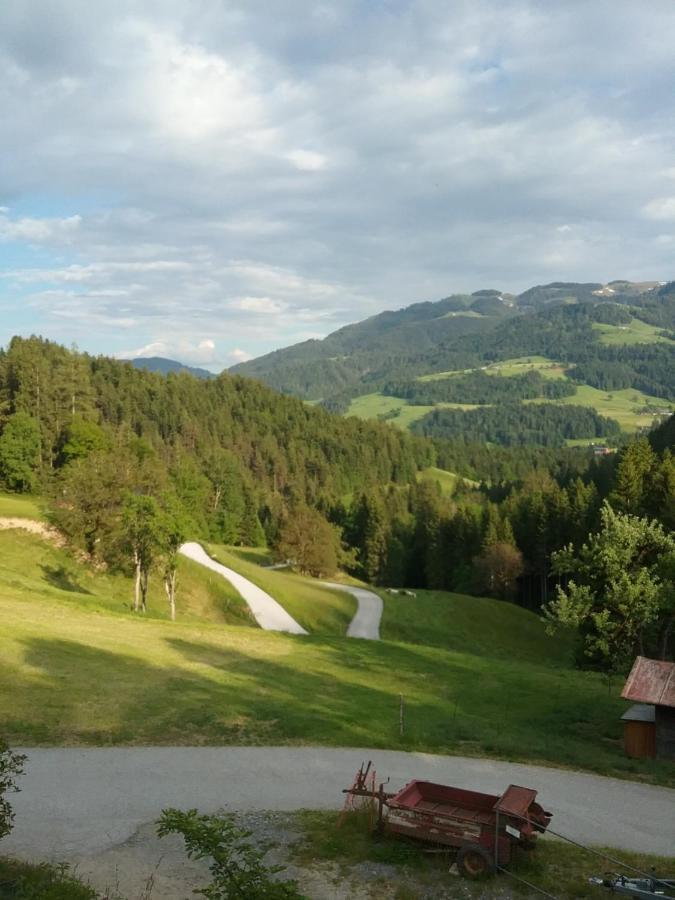 Bauernhof Vordergrub Lejlighed Scheffau am Wilden Kaiser Eksteriør billede