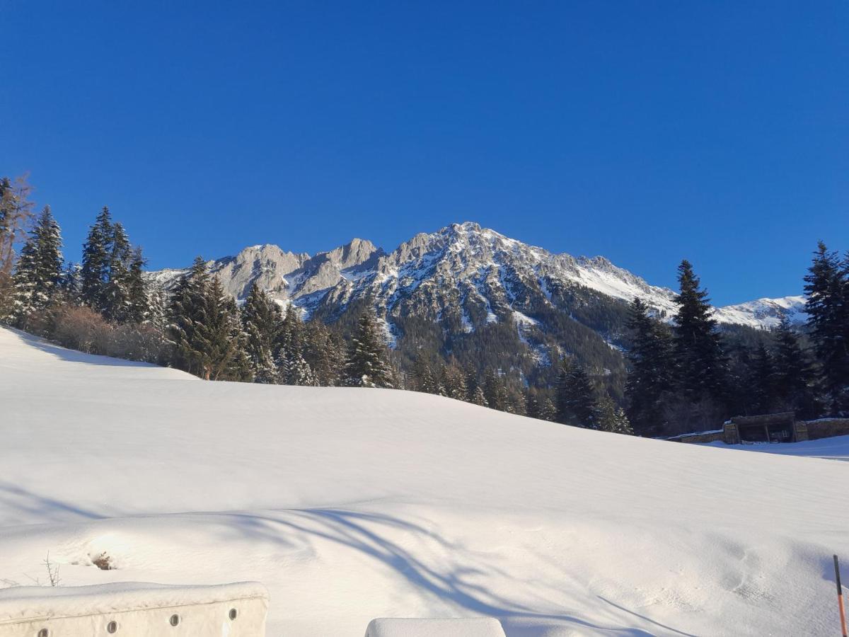 Bauernhof Vordergrub Lejlighed Scheffau am Wilden Kaiser Eksteriør billede
